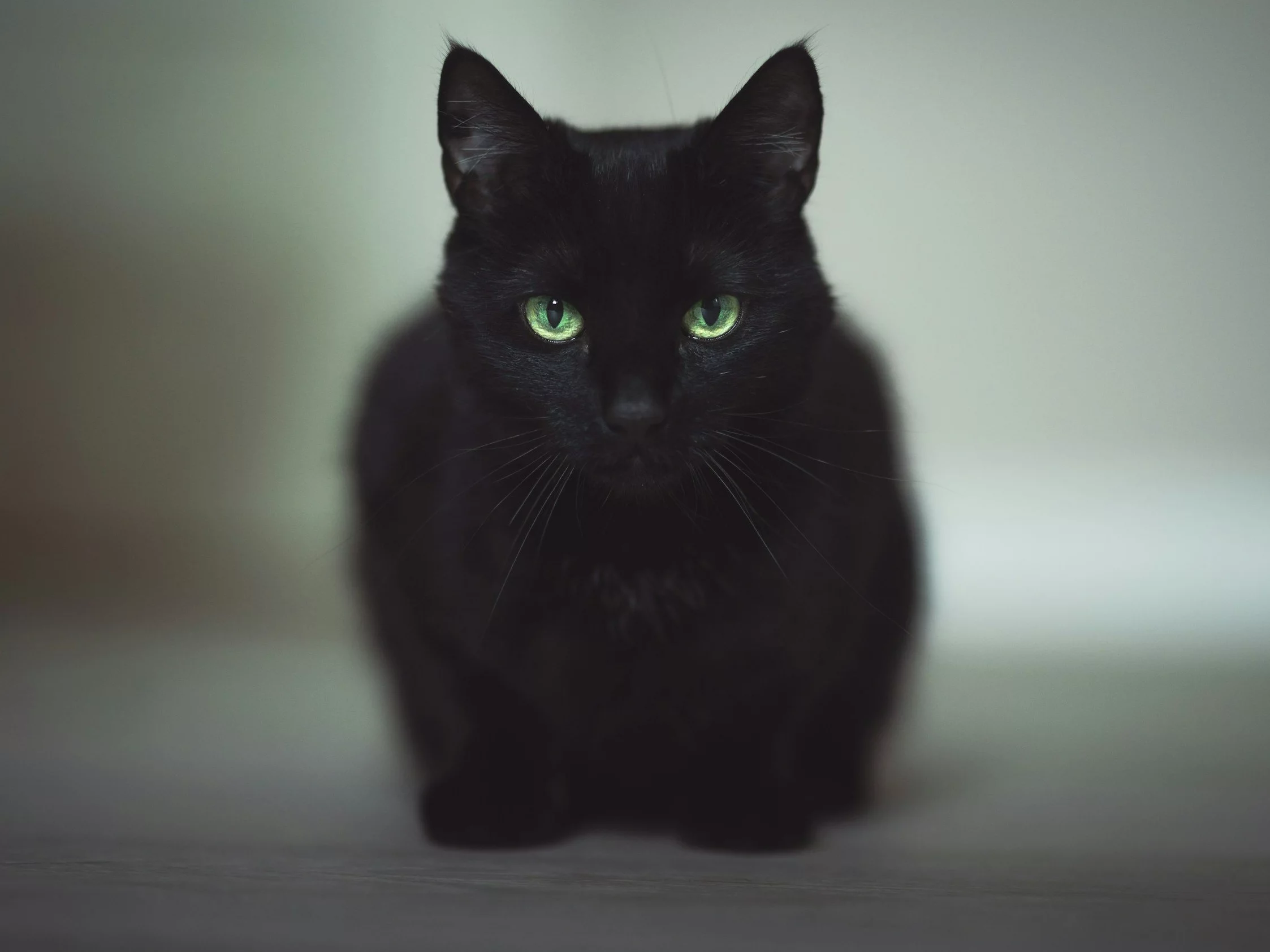 10 popularnych przesądów. Znasz je?