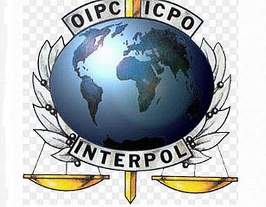 Miniatura: Interpol gani afgańskie siły bezpieczeństwa