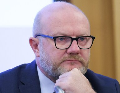 Miniatura: Niemcy podrzucają Polsce migrantów?...