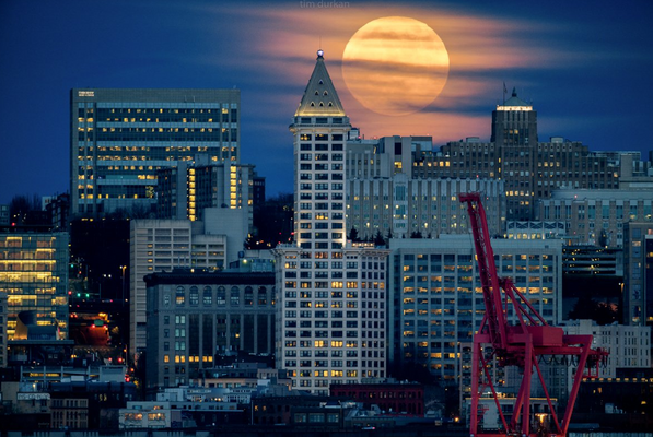 Miniatura: Tak wyglądał Superksiężyc na całym świecie