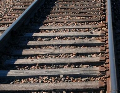 Miniatura: Spółki kolejowe chcą pozyskać ponad 1 mld zł