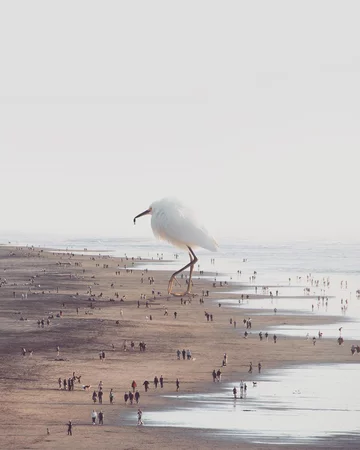 Surrealistyczny świat 