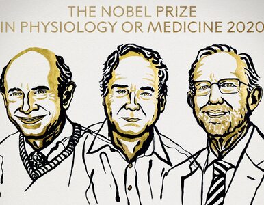 Miniatura: Nobel z medycyny i fizjologii w 2020 roku...