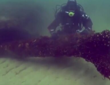Miniatura: Niezwykłe odkrycie na dnie morza. "To...