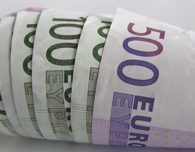 Miniatura: "Strefa euro potrzebuje wyższej inflacji"