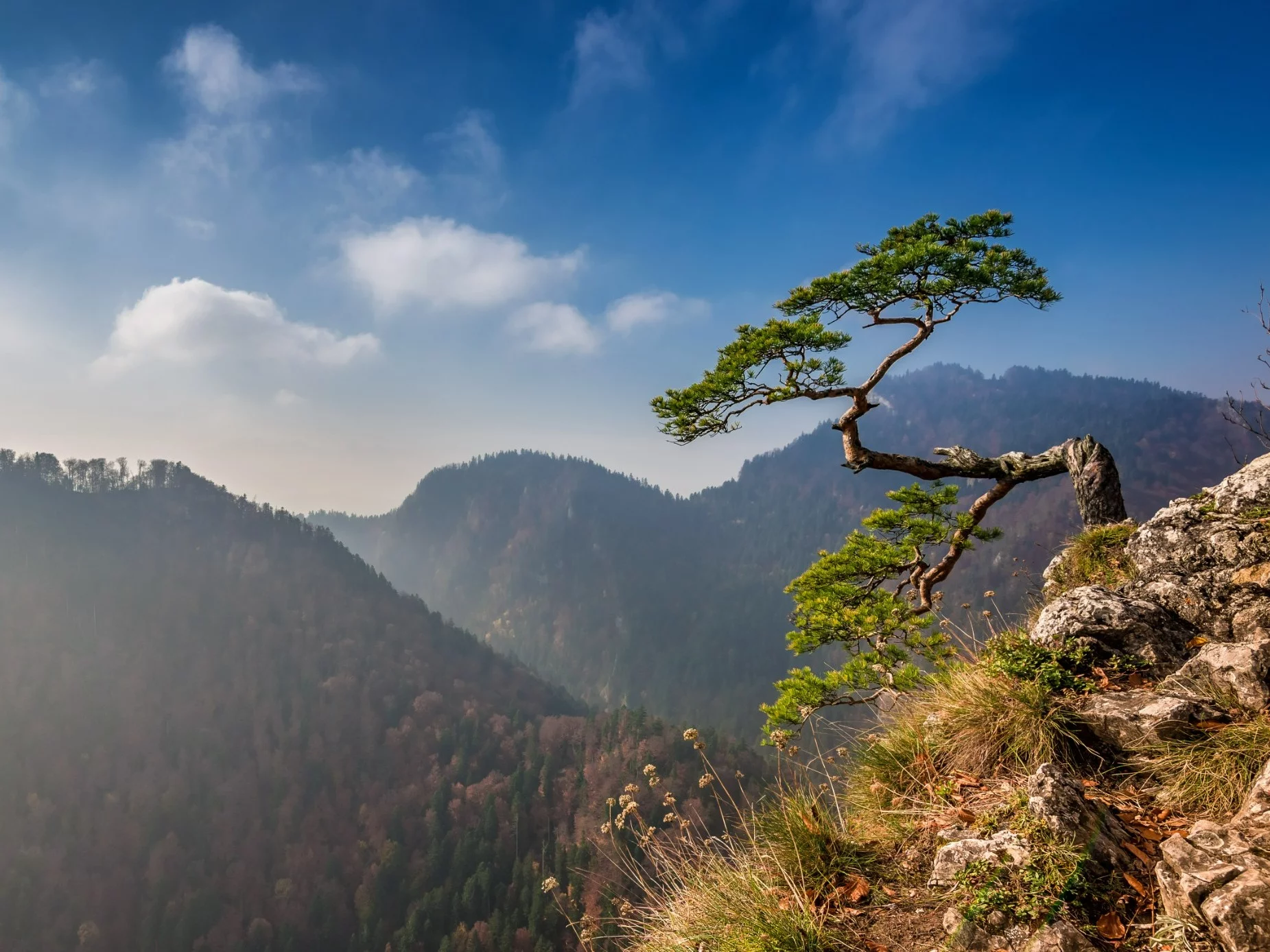 QUIZ z geografii Polski. Na te pytania wypada znać odpowiedź