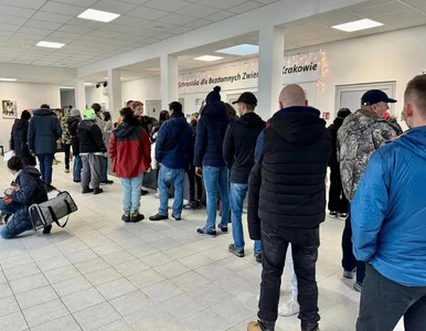 Miniatura: Schronisko poprosiło o pomoc, ale takiej...