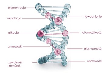 Laboratorium Genocosmetics