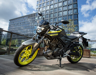 Miniatura: Yamaha MT-03 - Monster(ek) z Japonii