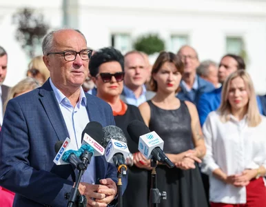 Miniatura: Lewica proponuje nowe rozwiązanie...