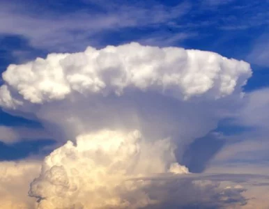 Miniatura: Siedząc na beczce prochu. Czy grozi nam...