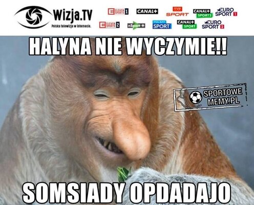 Miniatura: Memy po przegranej Niemców z Koreą Południową