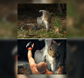 Te fotografie pokazują, ż Photoshop potrafi zdziałać cuda 