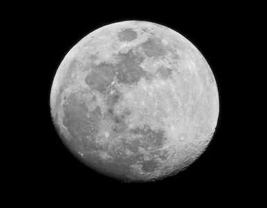 Miniatura: Jak szeroka jest twoja wiedza ogólna?