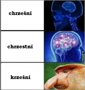 Mem z nosaczem sundajskim 