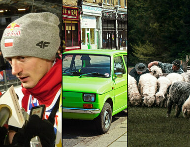 Miniatura: Ekstremalnie trudny QUIZ z wiedzy ogólnej....