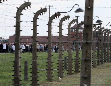 Miniatura: Włoch ukradł drut z Auschwitz. "Chciałem...