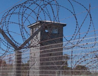 Miniatura: Bośniacki imam skazany na 7 lat więzienia....