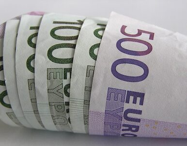 Miniatura: Euro z bankomatów. To koniec kantorów?