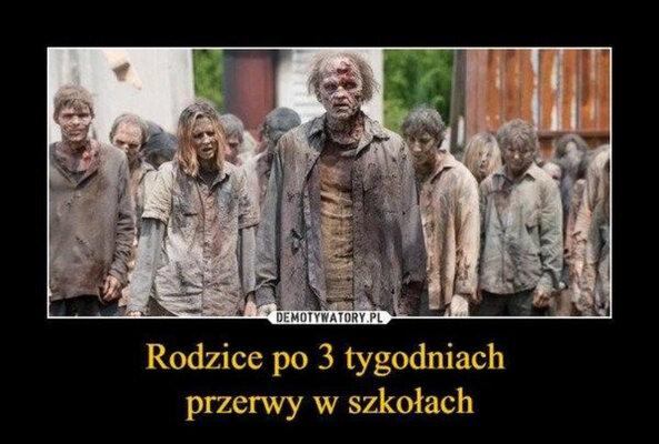 Miniatura: Uczniowie uczą się zdalnie. A internauci...