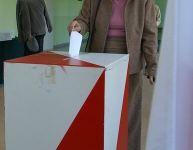 Miniatura: Dodatkowych pytań na referendum nie...