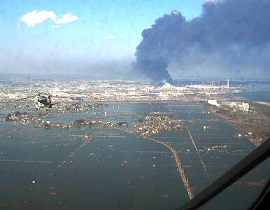 Miniatura: Japończycy nie przewidzieli takiego tsunami