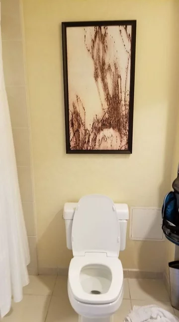 Toilet art 