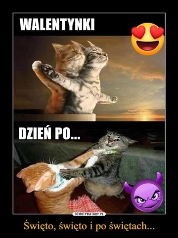 Mem na Walentynki 