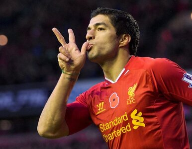 Miniatura: Premier League: niesamowity Suarez....