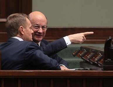 Miniatura: MFW prognozuje Polsce niewielki wzrost...