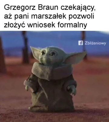 Mem z Baby Yodą 