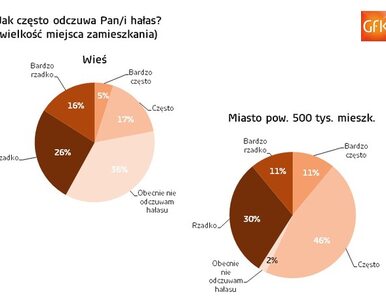 Miniatura: Ponad połowa Polaków mieszkających w...