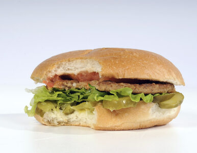 Miniatura: Końskie DNA w mięsie. Burger King zrywa...