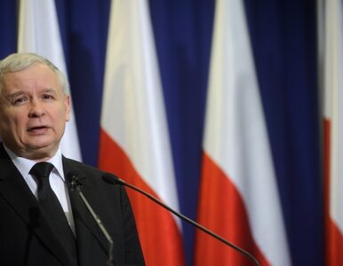 Miniatura: Kaczyński: Gliński na prezydenta