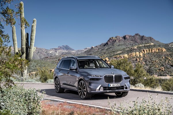 Miniatura: BMW X7