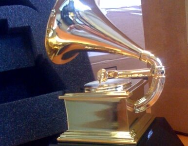 Miniatura: Laureat Grammy: To jest polski produkt...