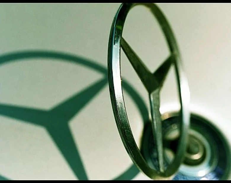 Miniatura: Poszła na grzyby, rozkręcili jej mercedesa