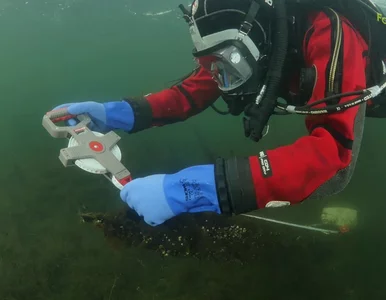 Miniatura: Puck. Podwodni archeolodzy zbadali...