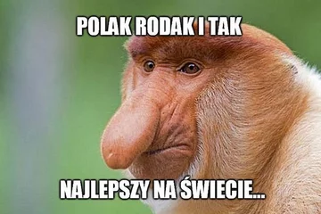 Mem po meczu Bayern - Liverpool 