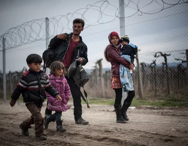 Miniatura: Polska rażąco nieprzygotowana na przyjęcie...