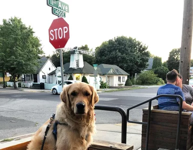 Miniatura: Robi to latem, zimą, w różnym stylu. Ten...