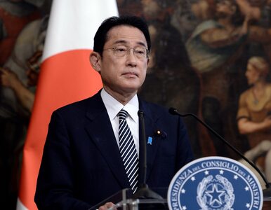 Miniatura: Japonia ogłasza kolejne sankcje przeciwko...