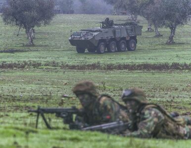 Miniatura: Plany NATO na wojnę z Rosją. Wiadomo,...