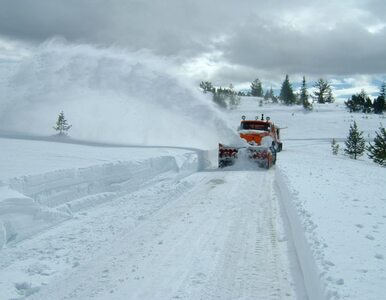 Miniatura: Zima zaskoczyła czeskich drogowców....