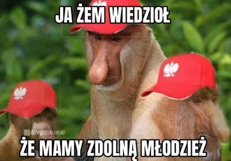 Mem po meczu Polski z Włochami 