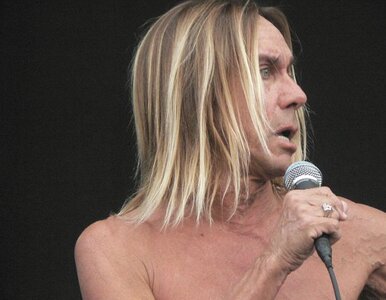 Miniatura: Iggy Pop zamilknie na kilka lat