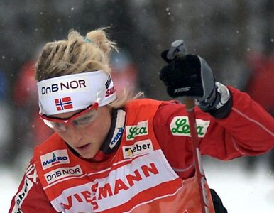 Miniatura: Norweskie biegaczki są... za chude?
