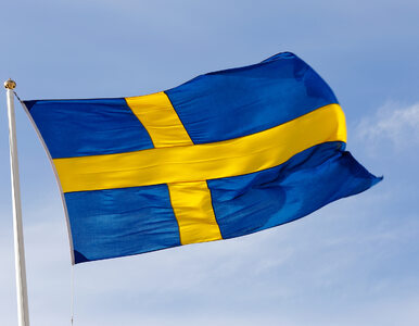 Miniatura: Wybory w Szwecji. Sprzeczne wyniki exit polls