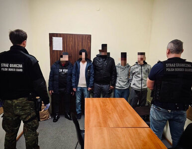 Miniatura: SG powstrzymała przemyt nielegalnych...