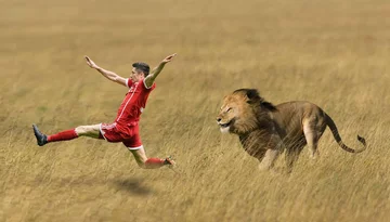 Robert Lewandowski ucieka przed lwem 